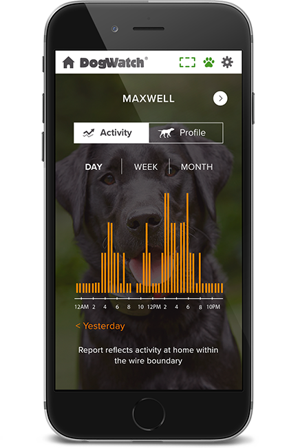 DogWatch of Buffalo and Niagara, Hamburg, New York | SmartFence WebApp Image