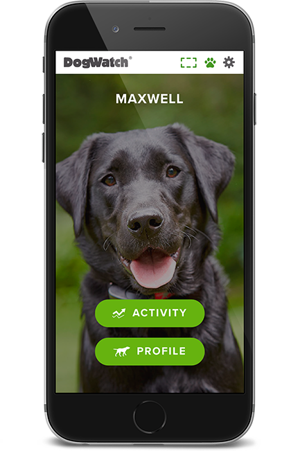 DogWatch of Buffalo and Niagara, Hamburg, New York | SmartFence WebApp Image